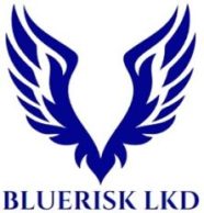 Bluerisk Logo