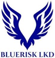 bluerisk logo