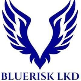 bluerisklkd logo 2026